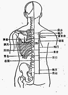 門梁|醫砭 » 經穴庫 » 梁門